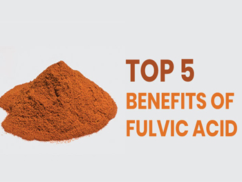 What Are The Benefits Of Fulvic Acid Powder?
